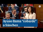 Ayuso llama "cobarde" a Sánchez: "Odia decir la verdad y le dan horror las urnas