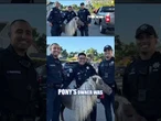 Cops 'HORSIN AROUND' with runaway pony #foxnews #news #us #fox