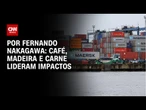 Análise: Café, madeira e carne lideram impactos do tariaço | CNN 360º