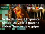 Volta de aves à Expointer simboliza vitória gaúcha sobre Newcastle e gripe
