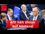 Neuer Umfrage-Hammer: AfD legt weiter zu und hält Union auf Abstand