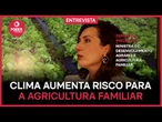 Mudanças climáticas aumentam risco para agricultura familiar, diz ministra
