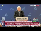 Kaczyński: euro byłoby dla polskiej gospodarki straszliwym uderzeniem!