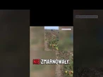 Ratowanie pomidorów - apel rolników o solidarność