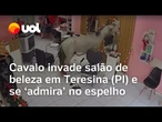 Cavalo invade salão de beleza em Teresina (PI) e se 'admira' no espelho