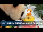 CHONGQING: Riesenpanda Mang Cancan feiert seinen Geburtstag auf einem Blütenthron!