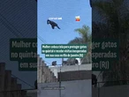 Mulher coloca tela para proteger gatos no quintal e recebe visitas inesperadas em sua casa no RJ