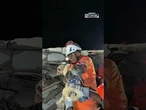 Terremoto Venezuela, estratta viva la cagnolina Giselle