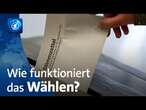 So geht das Wählen in Deutschland | Erklärung in Einfacher Sprache