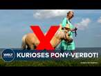 CUXHAVEN: Pony-Verbot auf dem Deich! Kuriose Bürokratieregel sorgt für Verwunderung der Bürger