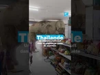 Thaïlande : un éléphant s’introduit dans un magasin à la recherche de nourriture • FRANCE 24