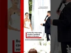 Butterfly interrupts couple's wedding vows in Ukraine. #WeddingVows #Wedding #BBCNews