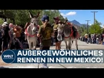 BURRO RACE: Packende Momente in der Wüste! Menschen und Esel durchlaufen Parcours durch die Wildnis!