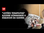 "Leitões terapeutas" ajudam ucranianos a esquecer da guerra; veja vídeo | CNN BRASIL