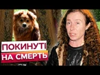 СОБАКИ МІСЯЦЯМИ ЖИЛИ БЕЗ ЇЖІ! Кадри з прифронтового села! НЕ МОЖЛИВО ДИВИТИСЯ БЕЗ СЛІЗ