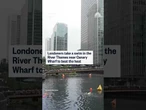 Londoners take a swim in the River Thames near Canary Wharf to beat the heat