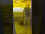 Police bust large-scale marijuana operation