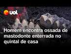 Homem encontra fóssil raro de animal extinto há 13 mil anos no quintal de casa nos EUA; confira