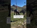 In Andorra un cavallo si ferisce a tremila metri di altitudine: salvato con l'elicottero