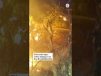 Más de 32 000 hectáreas arrasadas por el incendio de La Mierla, ya en fase de estabilización