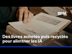 Intelligence artificielle: des livres anciens achetés par milliers, numérisés puis détruits
