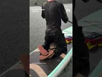 Paddleboarders rescue raccoon from Texas lake