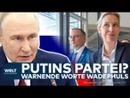 AFD: Putins Partei? Russland-Freunde richten sich gegen deutsche Interessen – Warnung von Wadephul