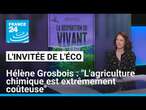 Hélène Grosbois : "L'agriculture chimique est extrêmement coûteuse" • FRANCE 24