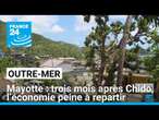 Mayotte : trois mois après le cyclone Chido, l’économie peine à repartir • FRANCE 24