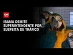 Ibama demite superintendente por suspeita de tráfico de aves silvestres | CNN NOVO DIA