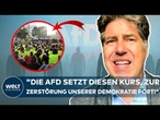 AFD IM HÖHENFLUG? "Was für eine Verrücktheit!" Grüne gehen auf Konfrontation! Kellner attackiert AfD
