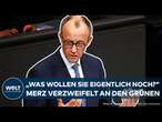 FRIEDRICH MERZ: "Was wollen sie eigentlich noch mehr?" Verzweifelte Worte Richtung Grüne