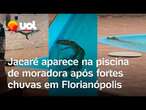 Jacaré invade piscina de casa e assusta moradores após fortes chuvas em Florianópolis; veja vídeo