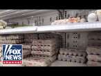 EGG-FLATION: Grocery budgets burdened across US