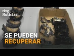 Los BILLETES CALCINADOS pueden RECUPERARSE a través del BANCO de ESPAÑA | RTVE