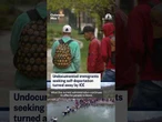 Undocumented immigrants seeking self-deportation turned away by ICE