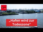 „Hafen wird zur Todeszone“: Der Elbe geht die Luft aus
