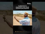 Memórias da Chuva: A submersão de Jaguaribara, uma cidade inundada pelo progresso #filme #ceará