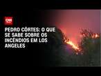 Pedro Côrtes: O que se sabe sobre os incêndios em Los Angeles | LIVE CNN