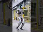 G1, el robot humanoide capaz de hacer kung-fu #kungfu #china #robot #tecnología