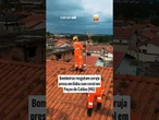 Coruja presa em linha com cerol é resgatada por bombeiros em Poços de Caldas