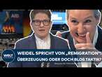 AFD-PARTEITAG: Weidel im Widerspruch? 