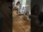 WATCH: Pint-sized Pomeranian chases bear out of a home #shorts