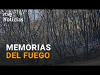 SAN LORENZO del ESCORIAL se RECUPERA de un INCENDIO 26 años DESPUÉS | RTVE Noticias