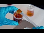 The Food Detectives : comment repérer le faux miel