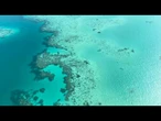 Recifes de coral do mundo superam limite de sobrevivência | AFP