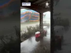 Bouncy house goes flying through Florida backyard