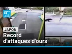 Attaques d'ours au Japon : les policiers autorisés à tirer • FRANCE 24