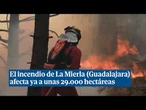 El incendio de La Mierla (Guadalajara) afecta ya a unas 29.000 hectáreas