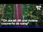 En Argentine, un canal vire au rouge vif et les habitants dénoncent "une pollution"